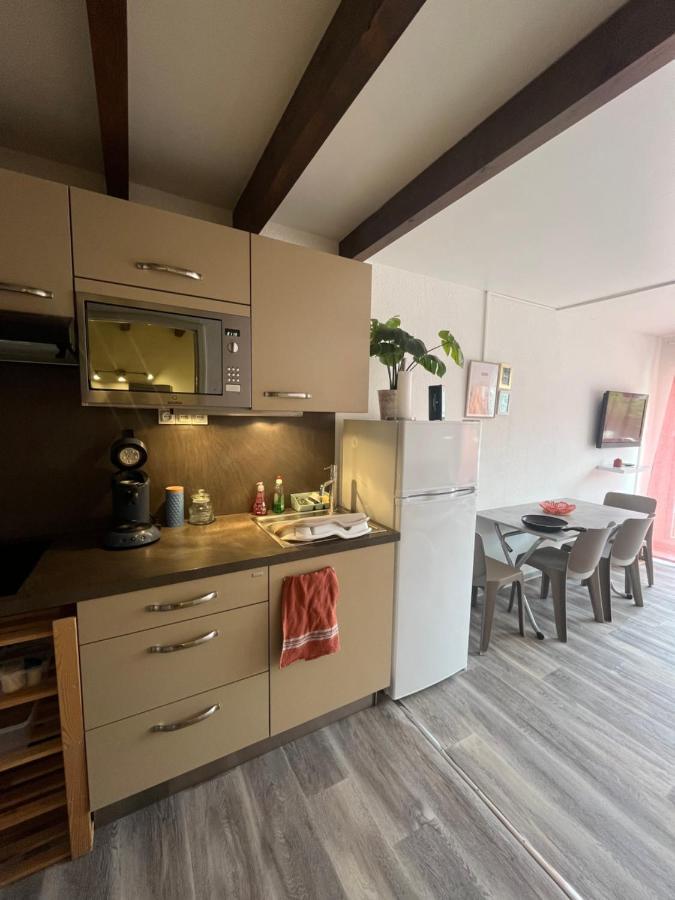 Appartement Argeles-Sur-Mer Avec Piscine A 500M De La Mer Exteriör bild